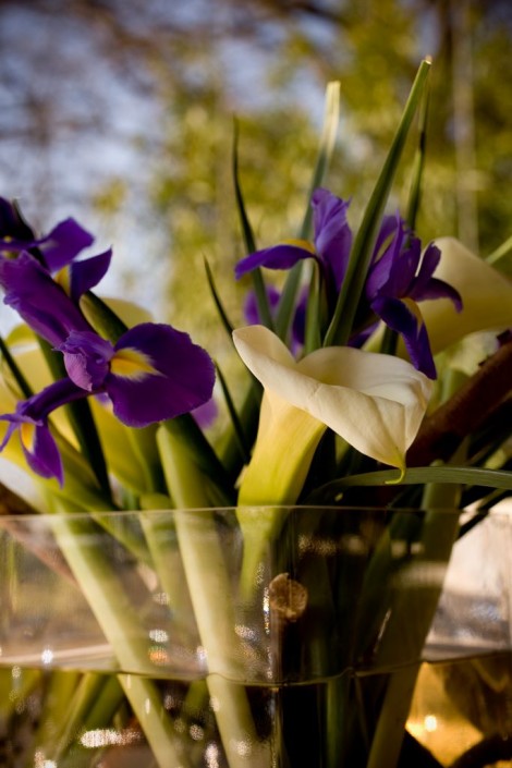 decoracion hoteles 10