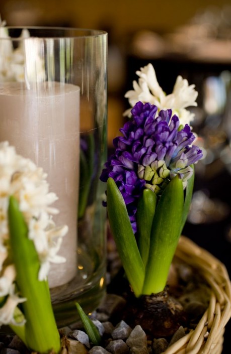 decoracion hoteles 2